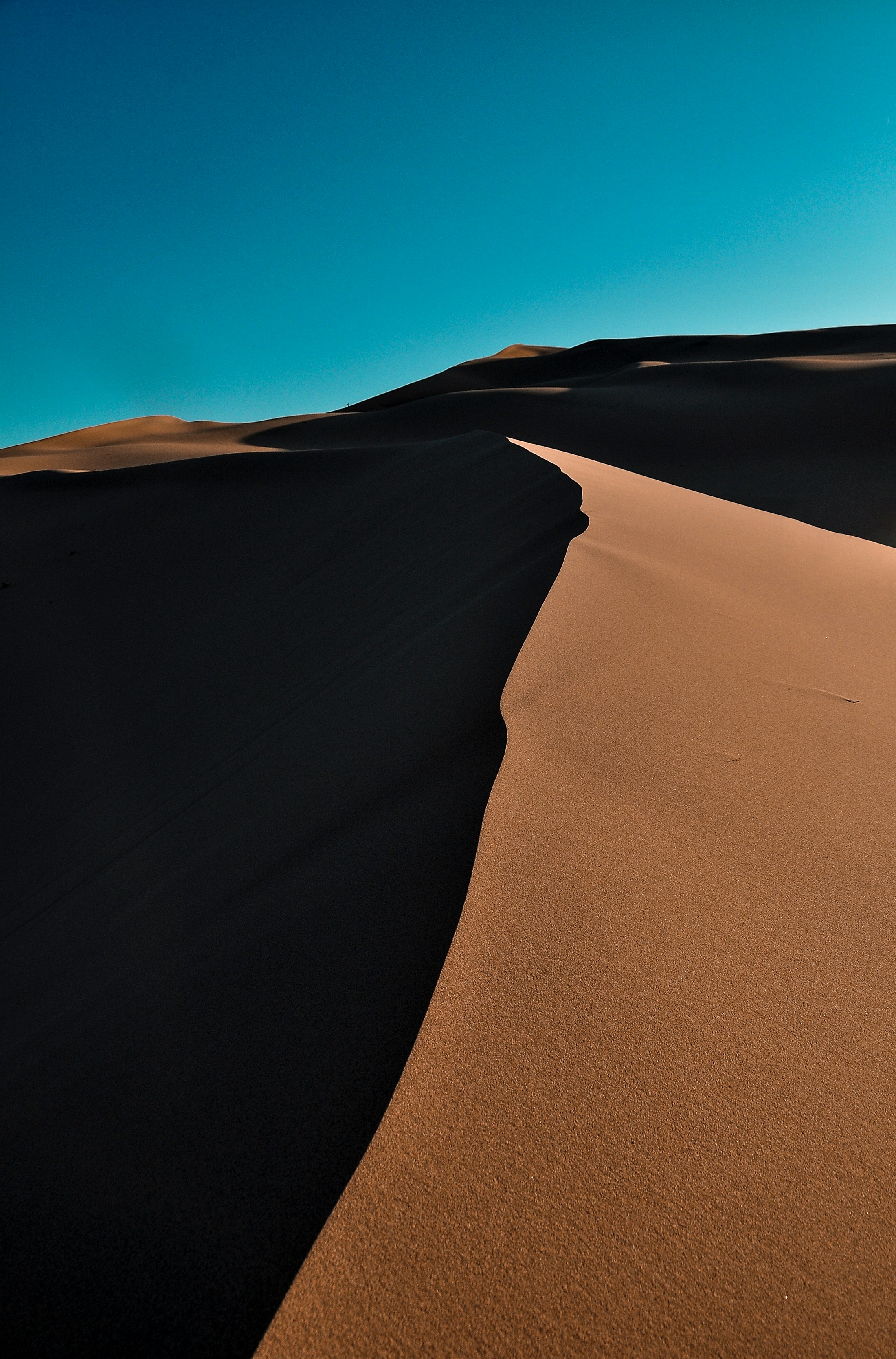 Morning light across the Gobi landscape