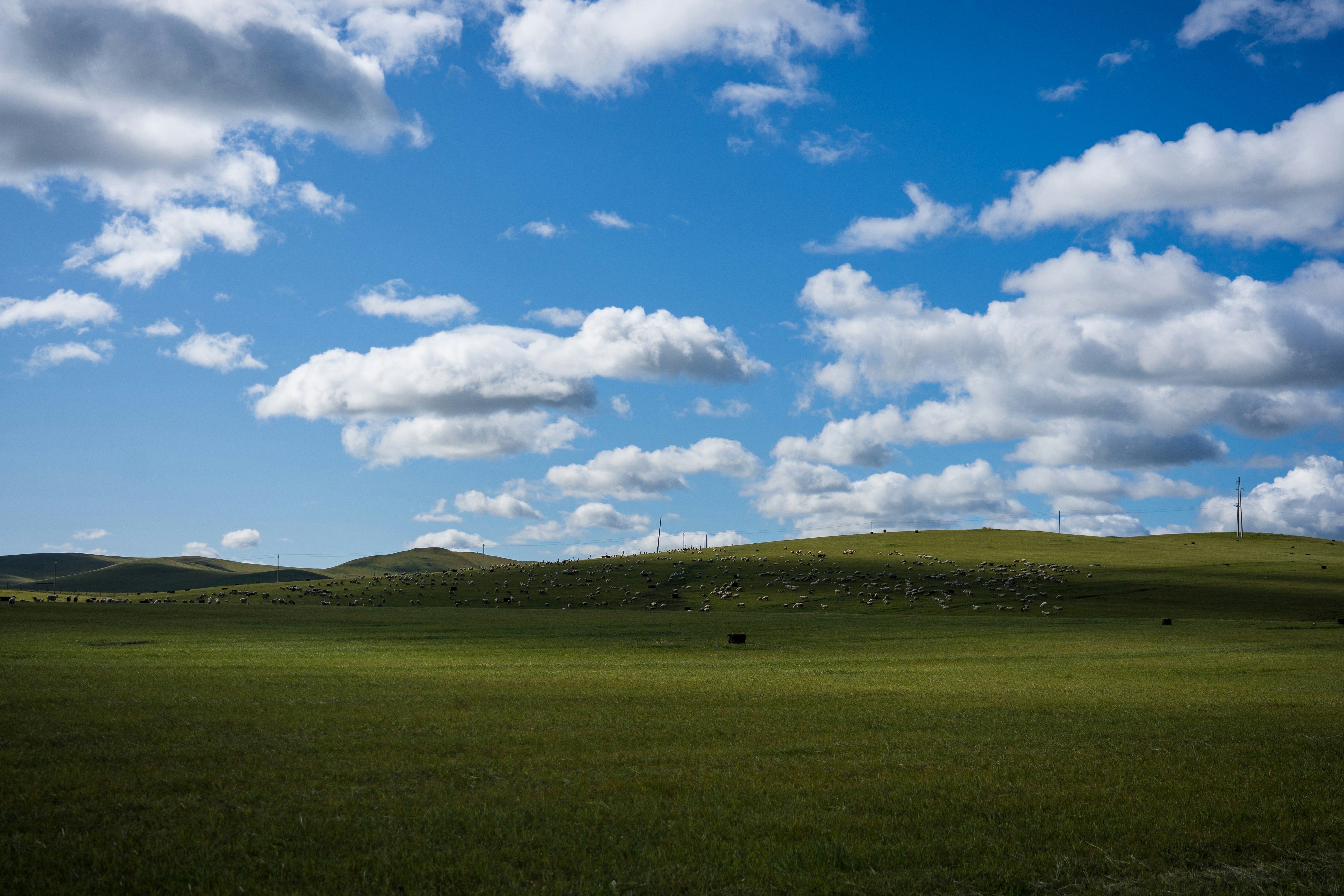 Open green landscapes in northern Mongolia